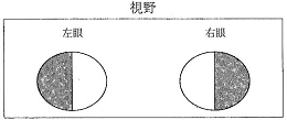 12_tߋ