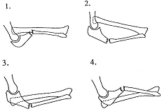 12_tߋ