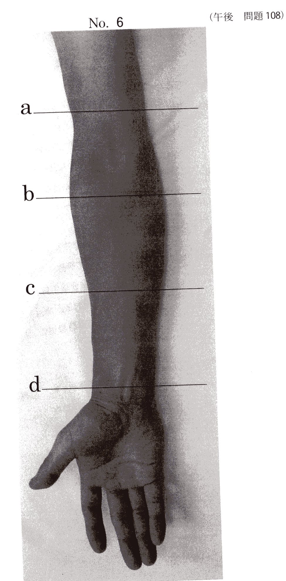 21_tߋ