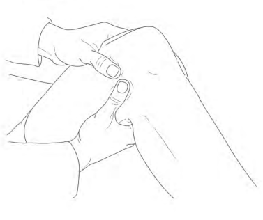_t25񍑉Ǝߋ