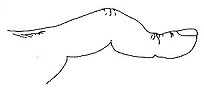 8_tߋ