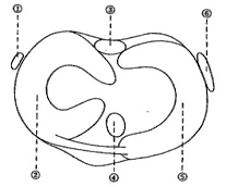 8_tߋ