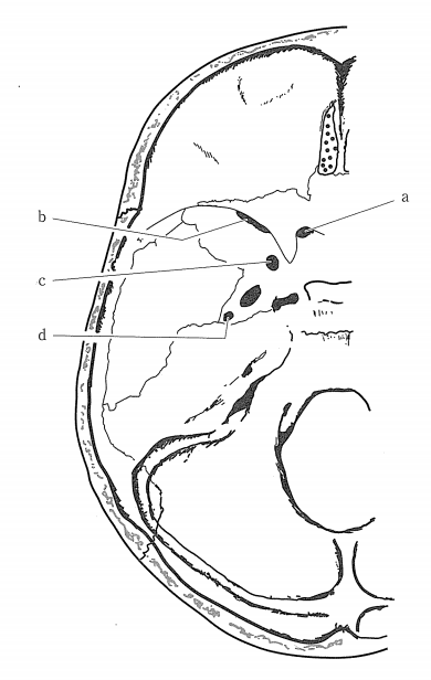 第27回柔道整復師過去問題