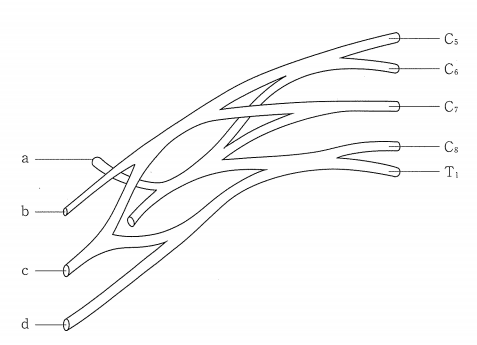 第27回柔道整復師過去問題